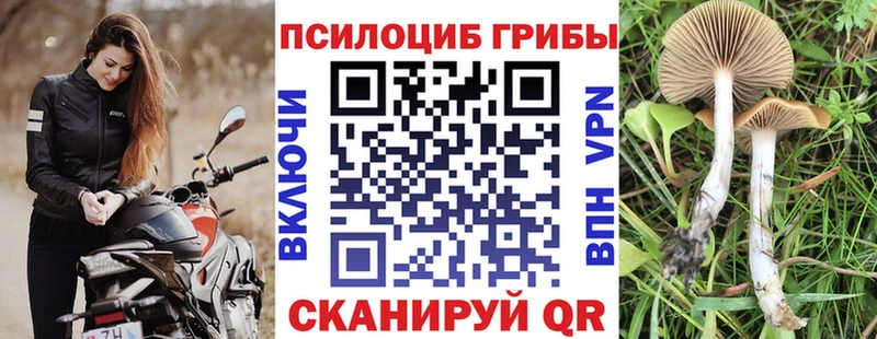 Галлюциногенные грибы мухоморы  купить  цена  Новосибирск 